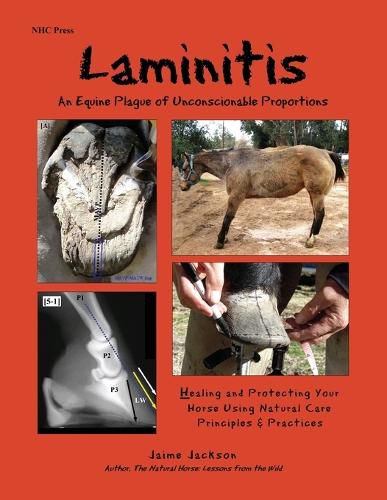 Cover image for Laminitis: An Equine Plague of Unconscionable Proportions: Healing and Protecting Your Horse Using Natural Principles & Practices