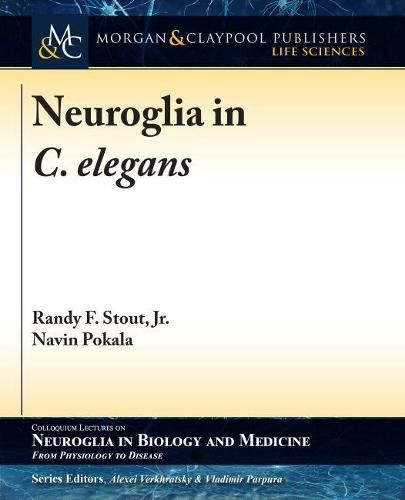 Cover image for Neuroglia in C. elegans