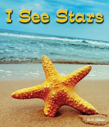 Cover image for I See Stars