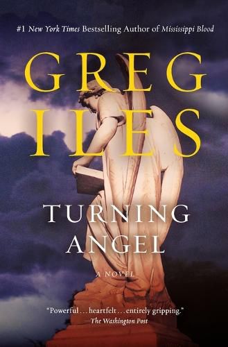 Cover image for Turning Angel