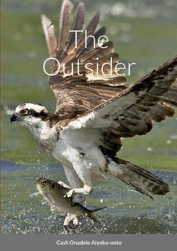 Cover image for The Outsider