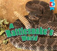 Cover image for A Rattlesnake's World