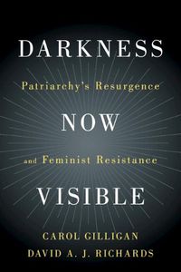 Cover image for Darkness Now Visible: Patriarchy's Resurgence and Feminist Resistance