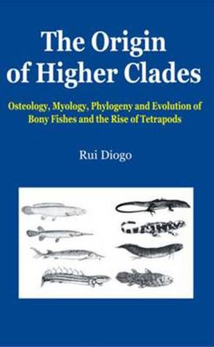 Cover image for The Origin of Higher Clades: Osteology, Myology, Phylogeny and Evolution of Bony Fishes and the Rise of Tetrapods