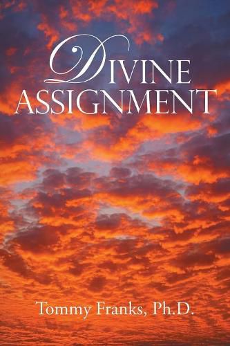 Cover image for Divine Assignment