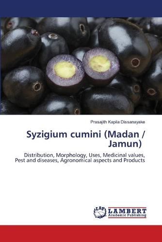 Syzigium cumini (Madan / Jamun)