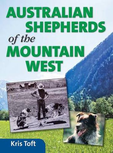 Cover image for Australian Shepherds of the Mountain West