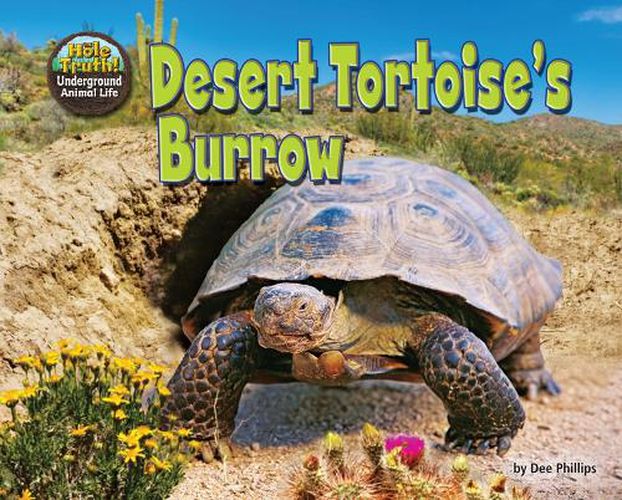 Cover image for Desert Tortoise's Burrow