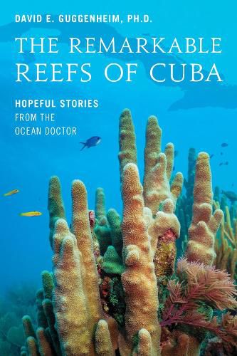 Cover image for The Remarkable Reefs Of Cuba: Hopeful Stories From the Ocean Doctor