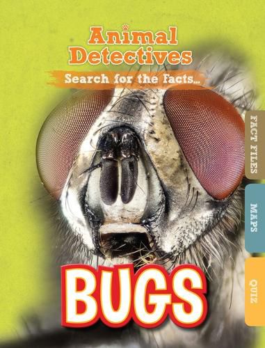 Cover image for Bugs