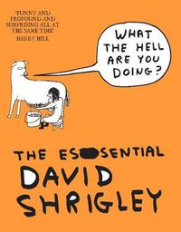 Cover image for What The Hell Are You Doing?: The Essential David Shrigley