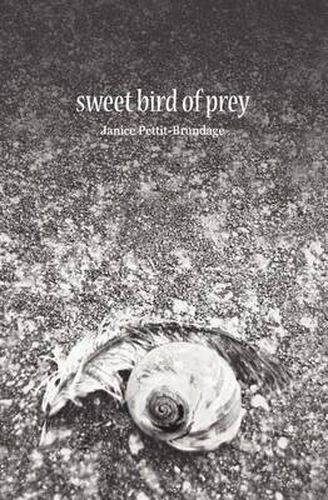 Cover image for Sweet Bird of Prey