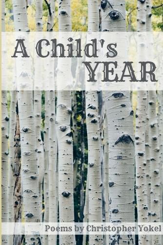 Cover image for A Child's Year