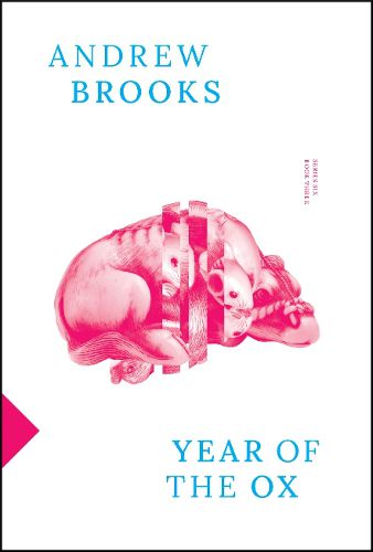 Cover image for Year of the Ox