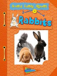 Cover image for Rabbits