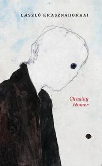 Cover image for Chasing Homer