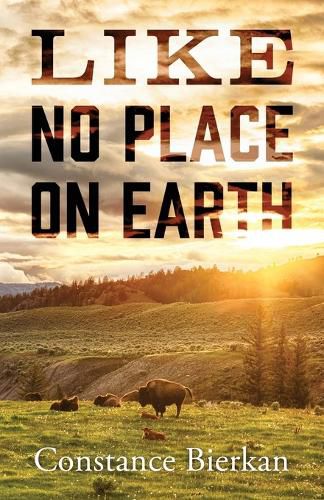 Cover image for Like No Place on Earth