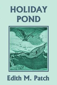 Cover image for Holiday Pond (Yesterday's Classics)