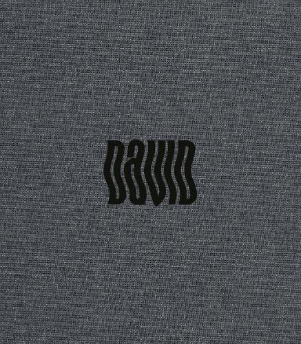 Cover image for David Bowie by Denis O'Regan
