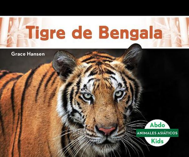 Cover image for Tigre de Bengala