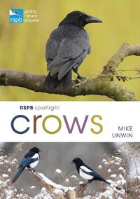 Cover image for RSPB Spotlight Crows