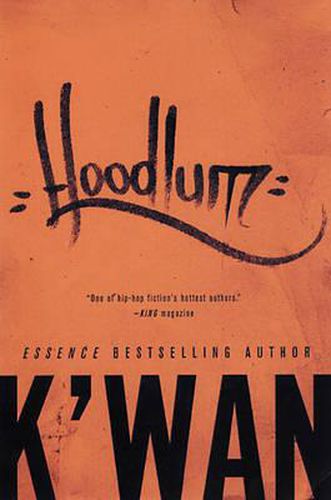 Cover image for Hoodlum