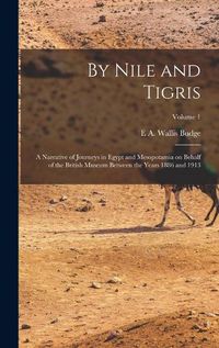 Cover image for By Nile and Tigris