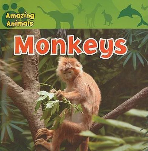 Cover image for Monkeys