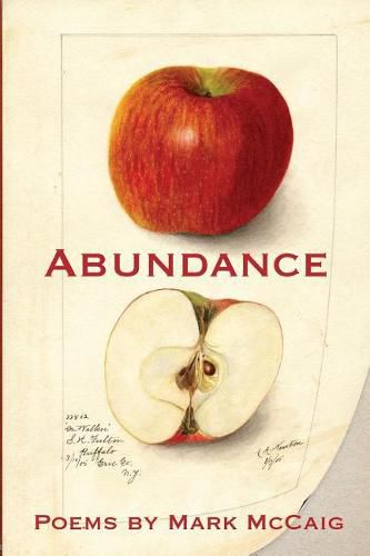 Cover image for Abundance