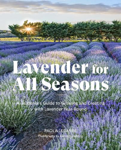 Cover image for Lavender for All Seasons