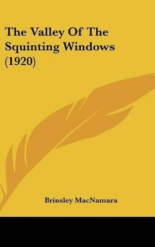 Cover image for The Valley of the Squinting Windows (1920)