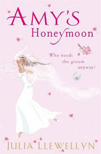 Cover image for Amy's Honeymoon