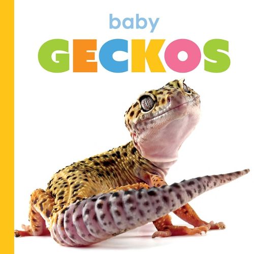 Cover image for Baby Geckos
