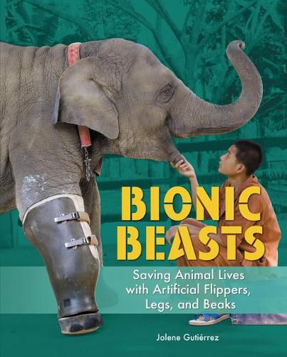 Cover image for Bionic Beasts: Saving Animal Lives with Artificial Flippers, Legs, and Beaks