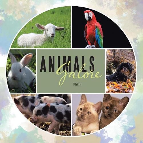 Cover image for Animals Galore