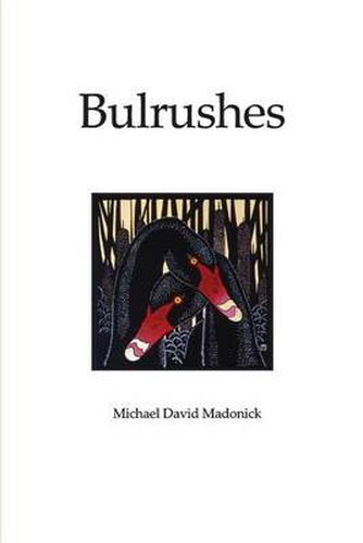 Cover image for Bulrushes