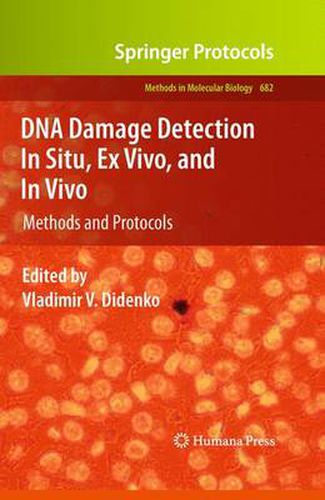 Cover image for DNA Damage Detection In Situ, Ex Vivo, and In Vivo: Methods and Protocols