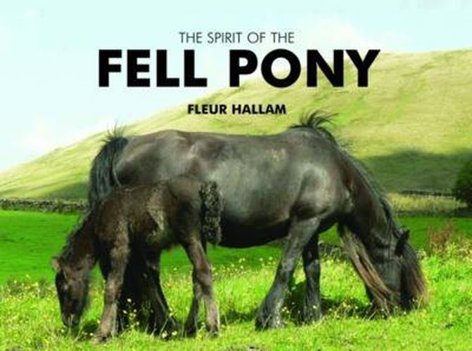 Cover image for The Spirit of the Fell Pony