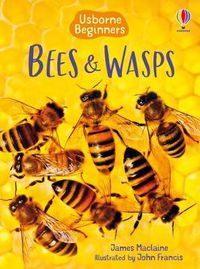 Cover image for Bees and Wasps