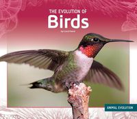 Cover image for The Evolution of Birds