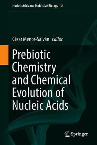 Cover image for Prebiotic Chemistry and Chemical Evolution of Nucleic Acids