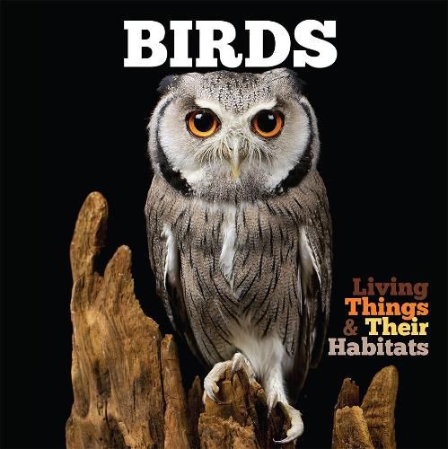 Cover image for Birds