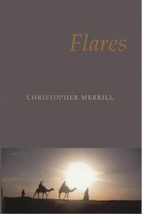 Cover image for Flares