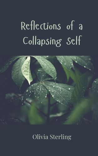 Cover image for Reflections of a Collapsing Self