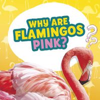 Cover image for Why Are Flamingos Pink?