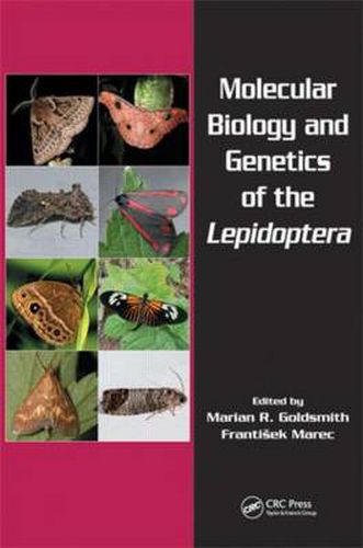 Cover image for Molecular Biology and Genetics of the Lepidoptera