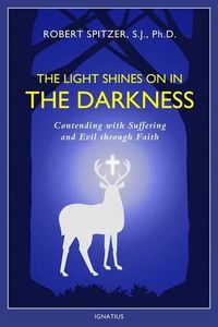 Cover image for The Light Shines on in the Darkness: Transforming Suffering Through Faith