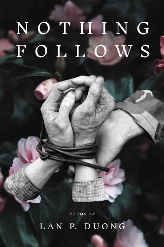 Cover image for Nothing Follows