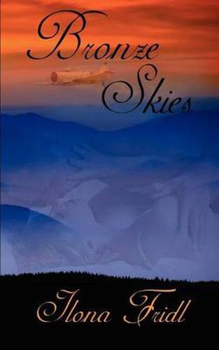 Cover image for Bronze Skies