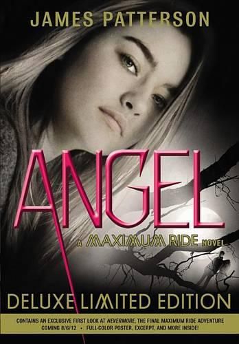 Cover image for Angel